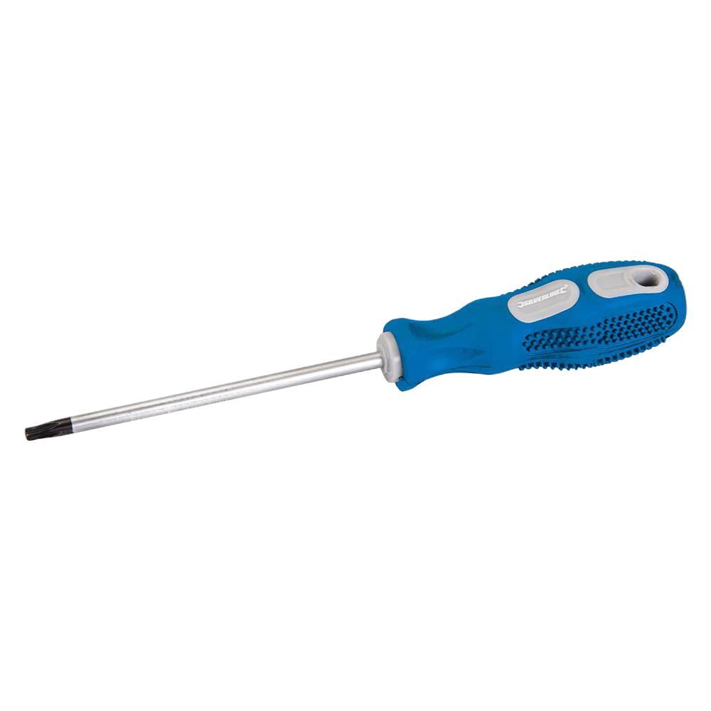 Silverline General Purpose Screwdriver Trx - T25 x 100mm