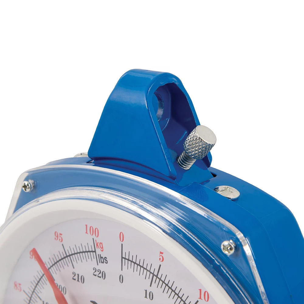 Silverline Hanging Scales Heavy Duty 100kg