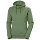 Helly Hansen Workwear W Logo Hoodie