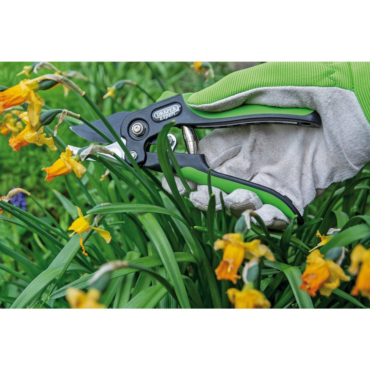 Draper Tools Bypass Pattern Secateurs, 200mm