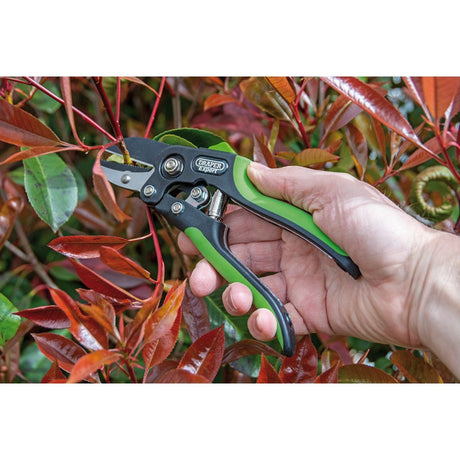 Draper Tools Anvil Pattern Secateurs, 200mm