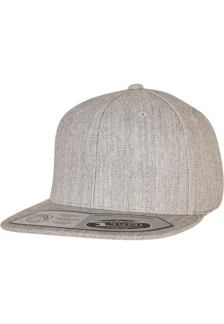 Flexfit By Yupoong 110 Fitted Snapback (110)