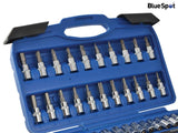 BlueSpot Tools 1/4in Square Drive Socket & Bit Set, 46 Piece