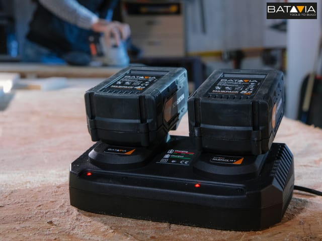 Batavia MAXXPACK Li-ion Dual Charger 240V