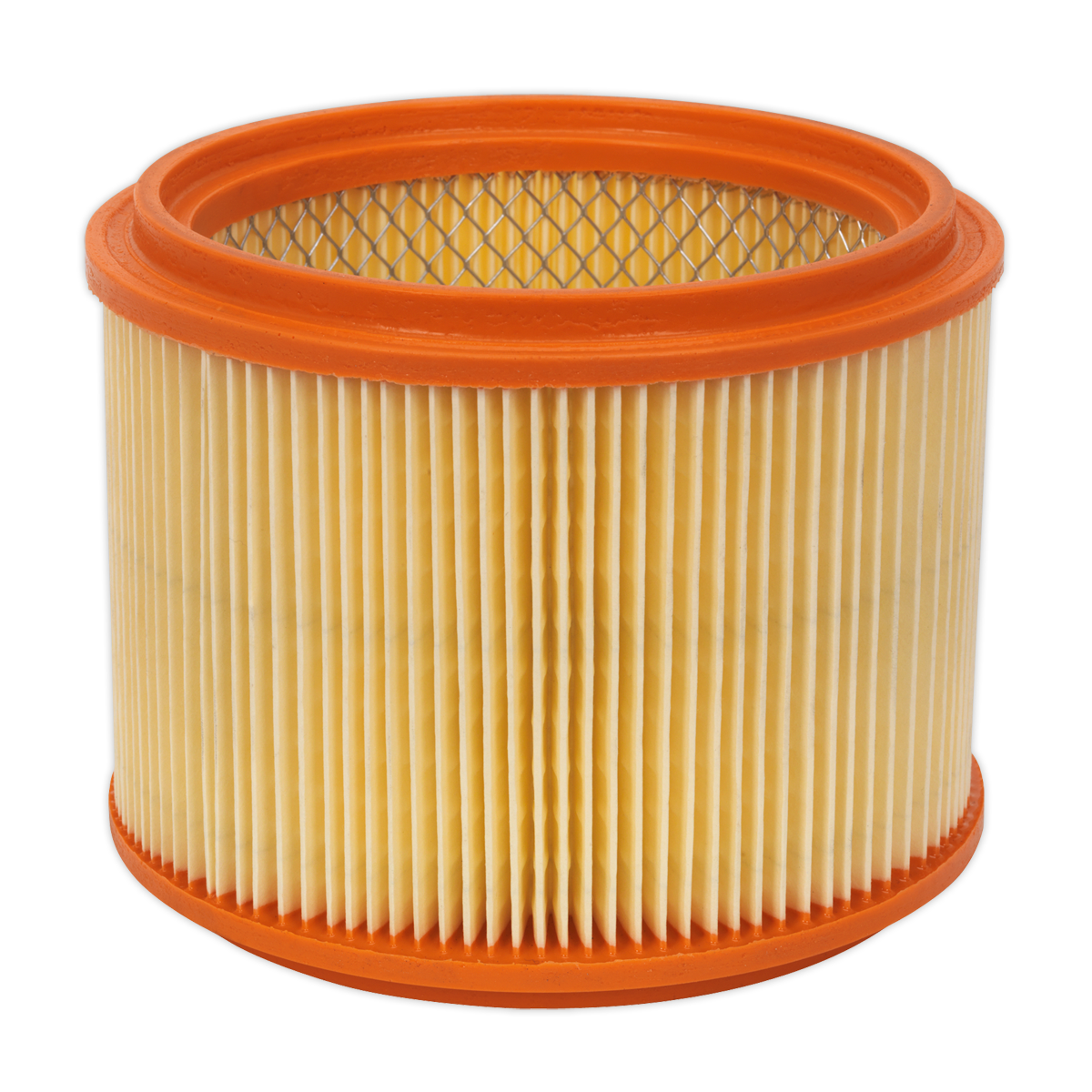 Sealey Cartridge Filter M Class