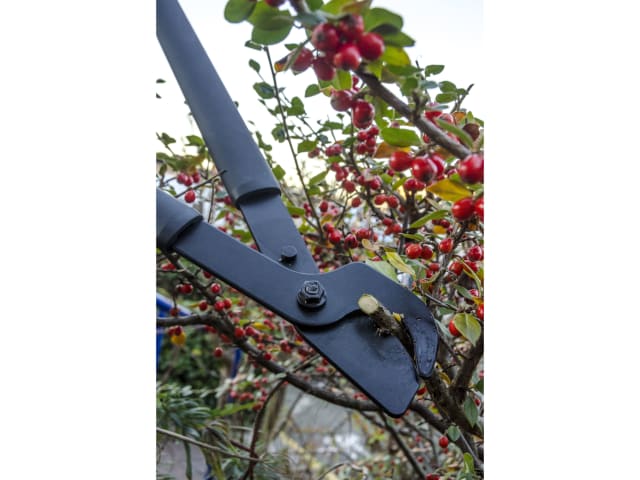 Fiskars SingleStep Bypass Lopper Hook Head 816mm