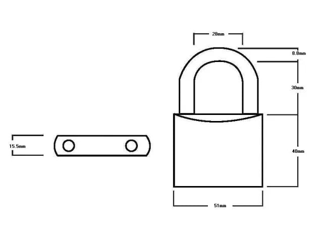 Squire LN5T Lion Brass Padlocks 5-Pin 50mm Twin Pack