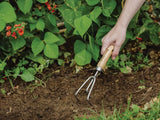 Kent & Stowe Stainless Steel Hand 3-Prong Cultivator, FSC®