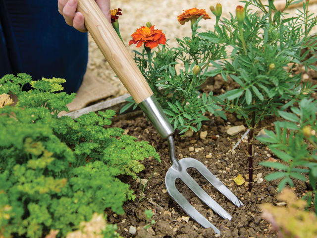 Kent & Stowe Stainless Steel Hand Border Fork, FSC®