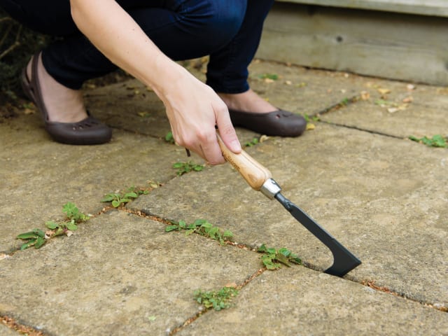 Kent & Stowe Carbon Steel Hand Weeding Knife, FSC®