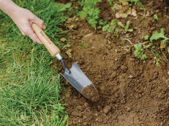 Kent & Stowe Carbon Steel Hand Transplanting Trowel, FSC®