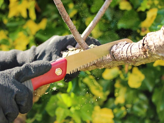 Kent & Stowe Turbo Folding Saw