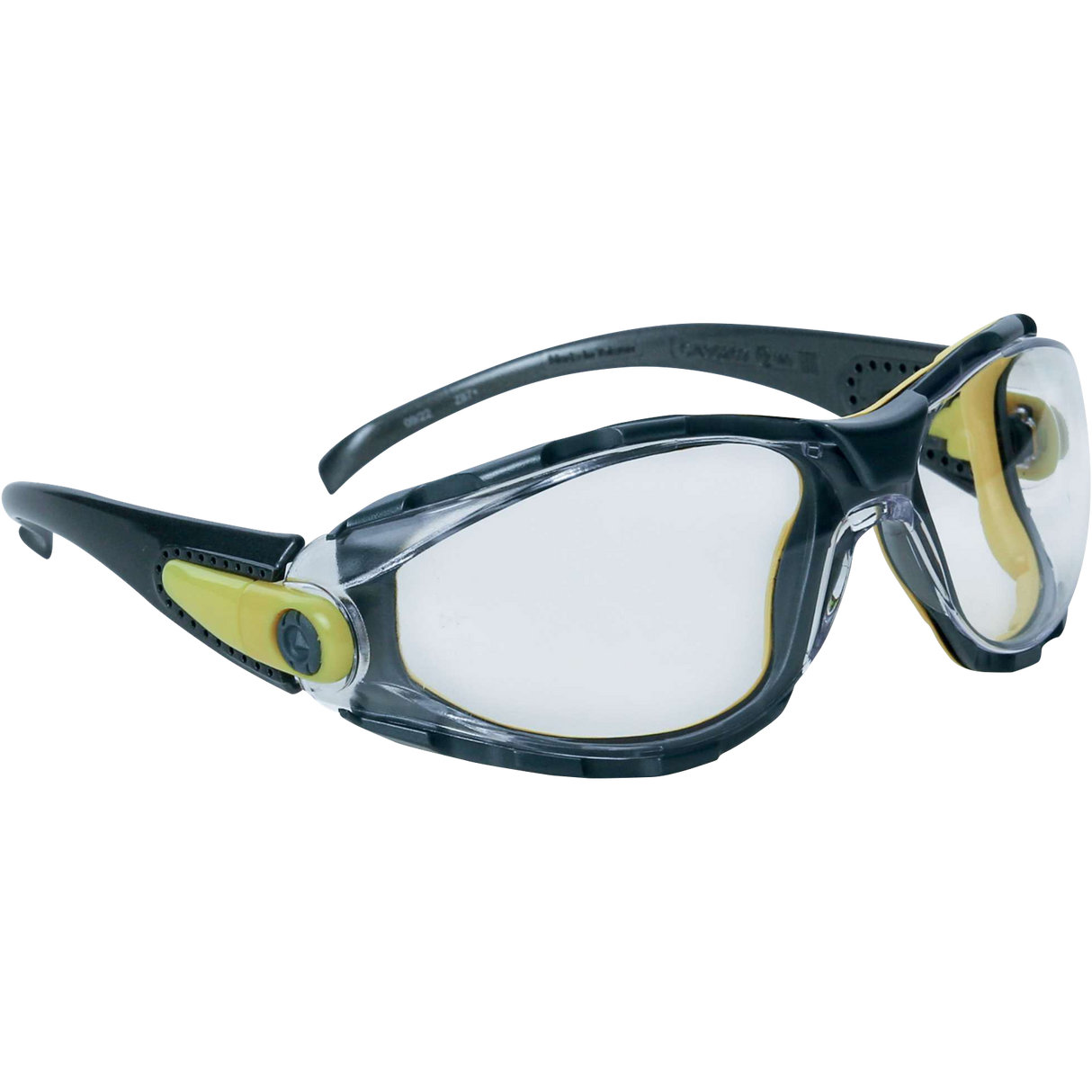 Delta Plus PACAYA CLEAR Safety Glasses with Removable Foam Protection