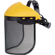 Delta Plus PICO 2 Safety Visor