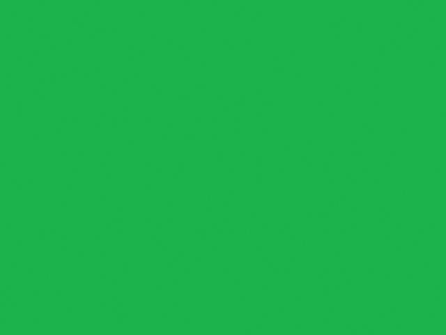 Shurtape Duck Tape® 48mm x 13.7m Neon Green