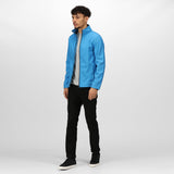 #colour_french-blue-navy