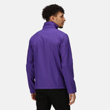 #colour_vibrant-purple-black