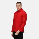 #colour_classic-red-seal-grey