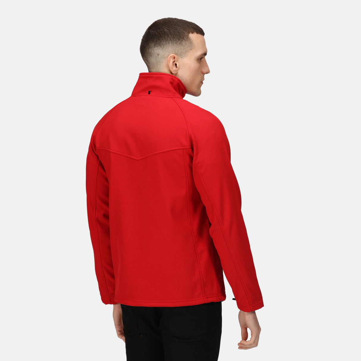 #colour_classic-red-seal-grey