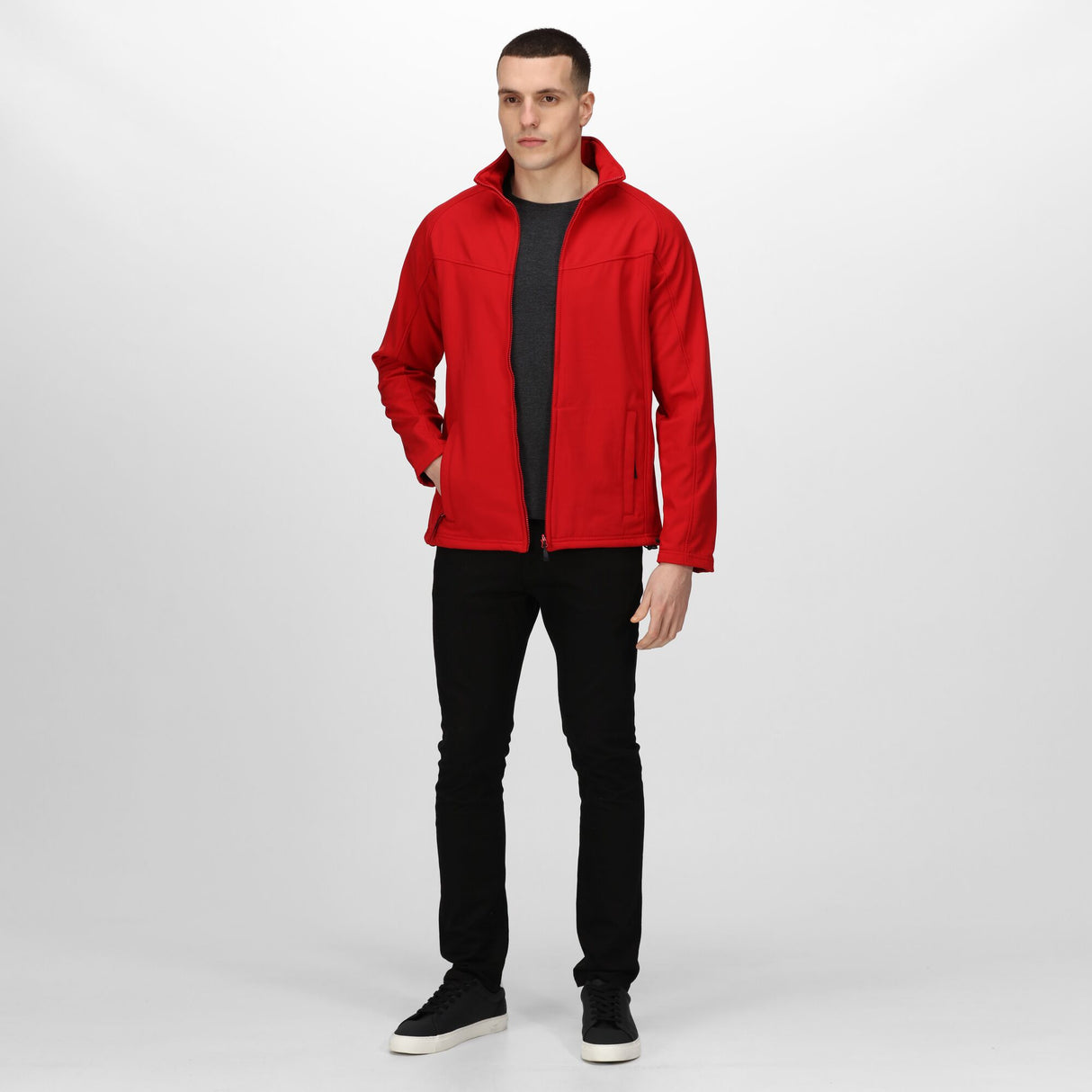 #colour_classic-red-seal-grey