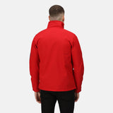 #colour_classic-red-seal-grey