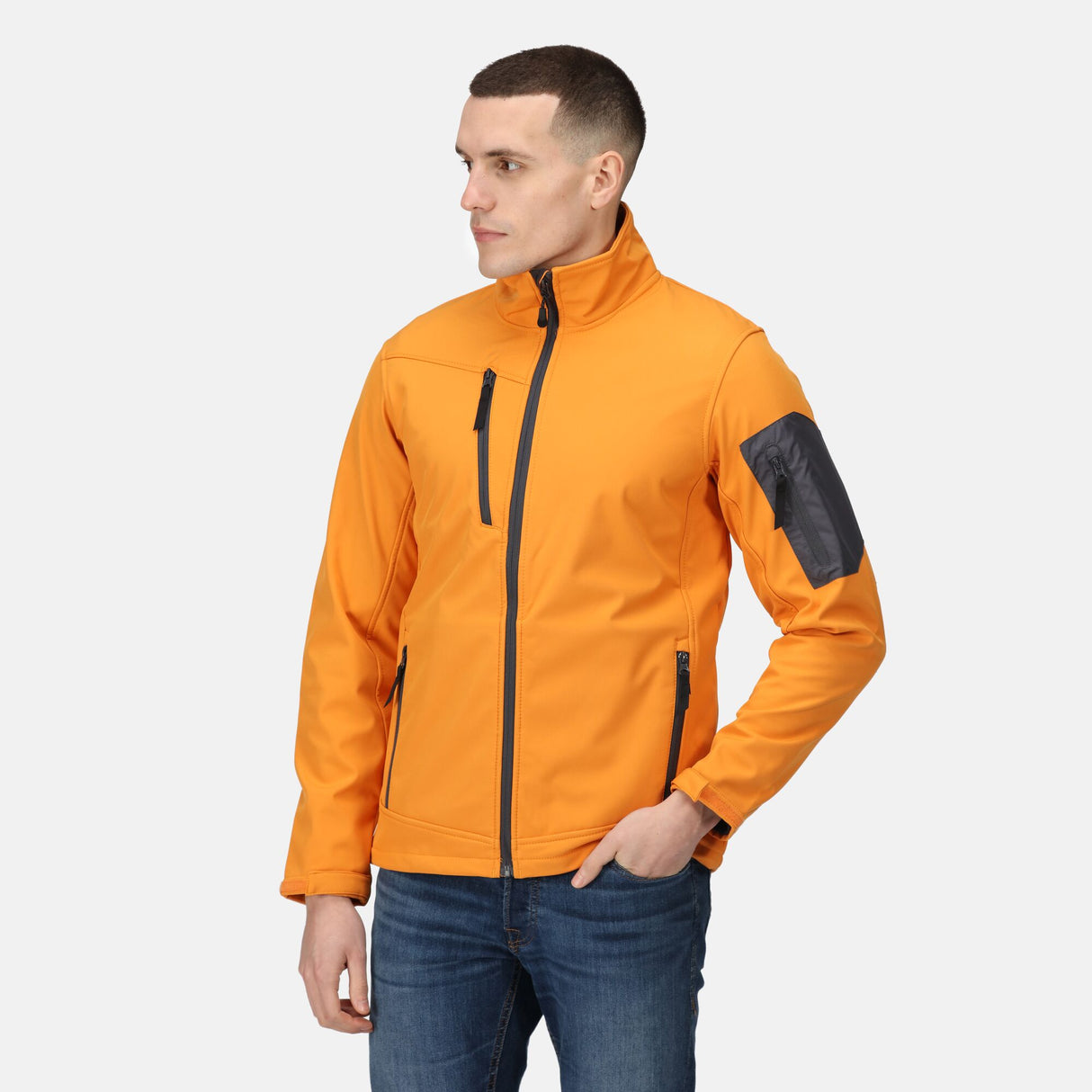 #colour_sun-orange-seal-grey
