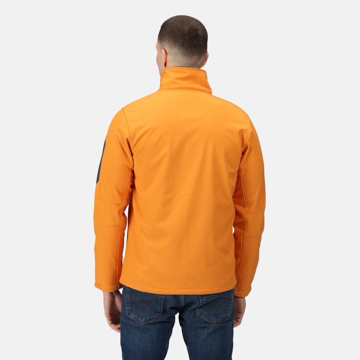 #colour_sun-orange-seal-grey