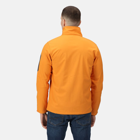 #colour_sun-orange-seal-grey