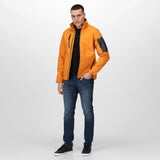 #colour_sun-orange-seal-grey