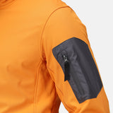 #colour_sun-orange-seal-grey