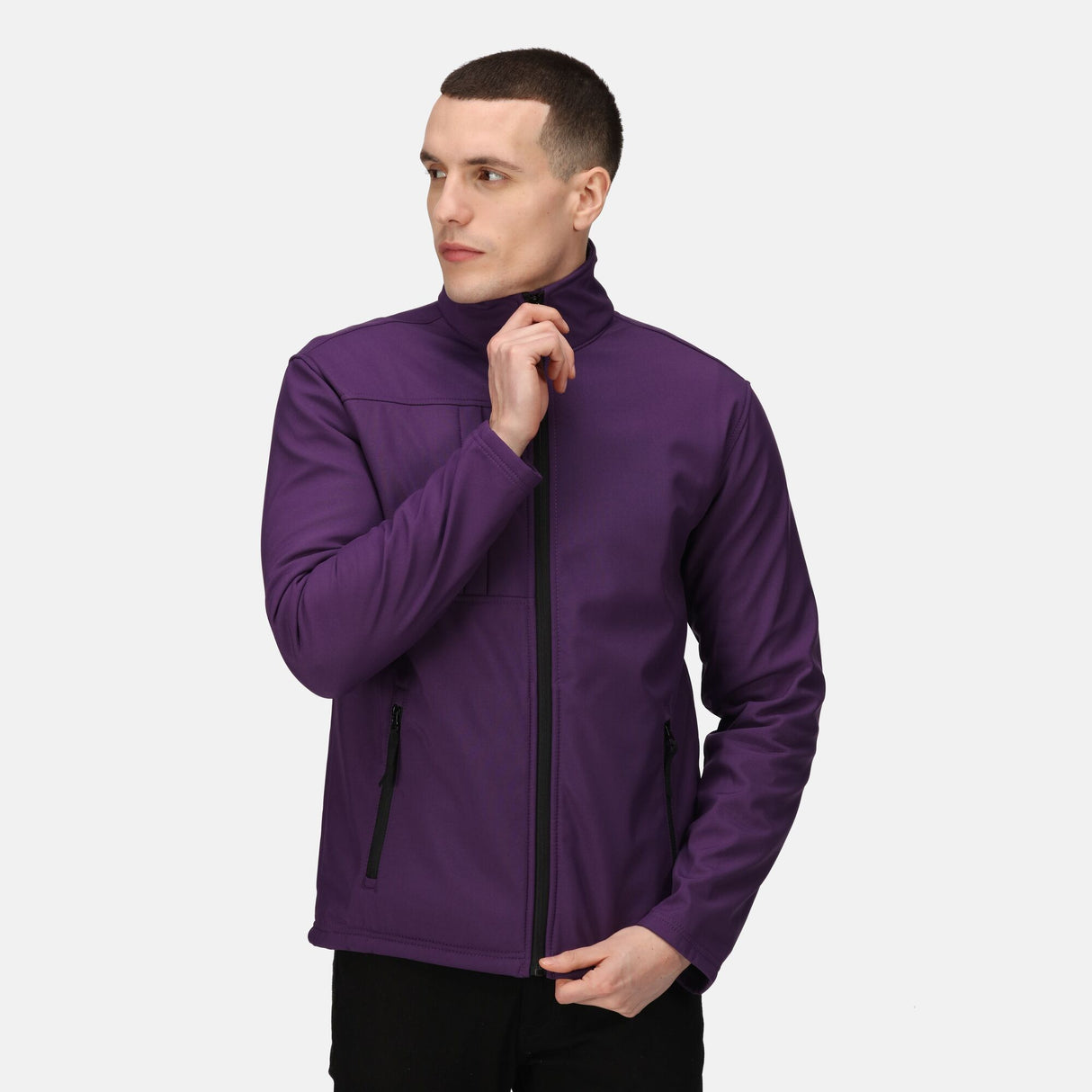 #colour_major-purple-black