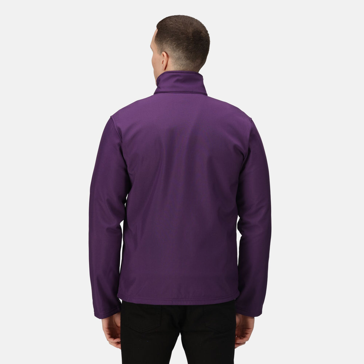 #colour_major-purple-black