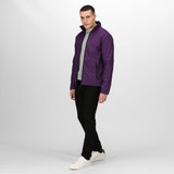 #colour_major-purple-black