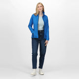 #colour_oxford-blue-black