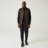 #colour_black-orange-pop