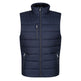 #colour_navy-seal