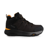 #colour_chestnut-black
