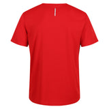 #colour_classic-red