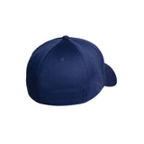 Under Armour Golf Ua Team Blitzing Cap