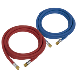Sealey Oxyacetylene Welding Hose Set 10m