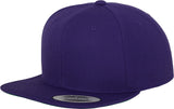 Flexfit By Yupoong The Classic Snapback (6089M)