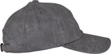 Flexfit By Yupoong Low-Profile Coated Cap (6245C)