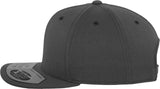 Flexfit By Yupoong 110 Fitted Snapback (110)