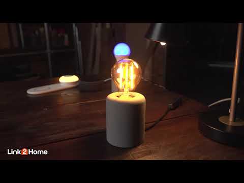 Link2Home Wireless Charger with Portable Light