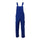 #colour_royal-blue