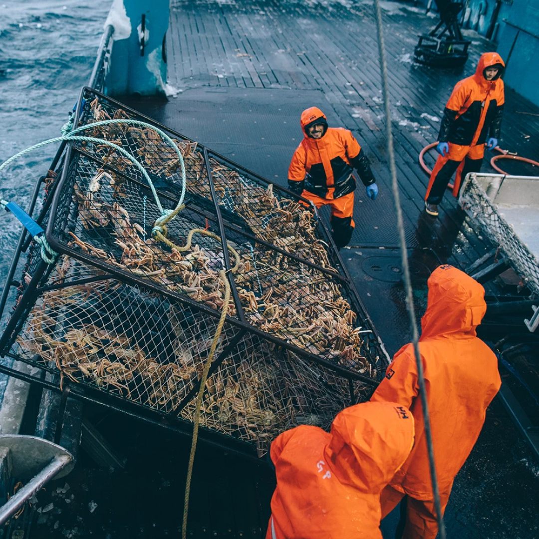 Hh workwear rain sales jacket