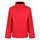 #colour_red