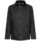 #colour_dark-green