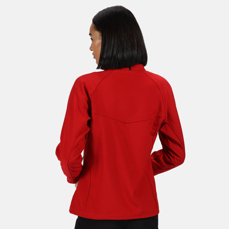 #colour_classic-red-seal-grey
