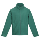 #colour_bottle-green